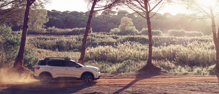  Citroen C5 Aircross SUV Hybrid 2019 года  (WW) (фото 11 из 49)